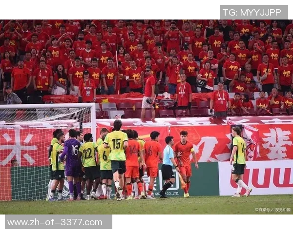 湖北足球崛起之路：本土球星引领新一代足球风潮